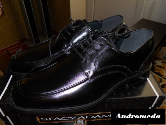 Мужские туфли Stacy Adams Forrest - классика вечна туфли