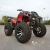 ATV 250cc TaoDV